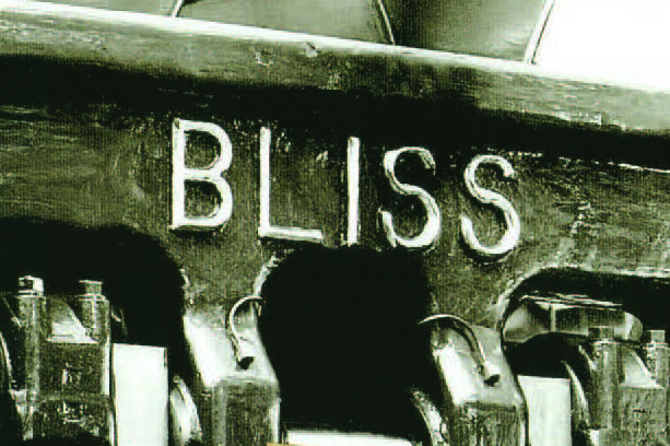 Bliss Booklet bliss header Bliss Booklet bliss header
